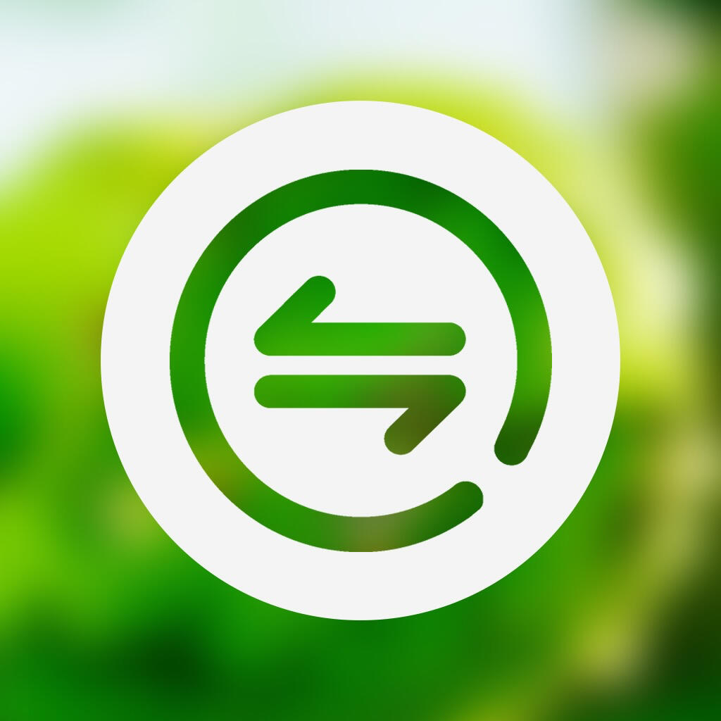 Binance smart chain explorer icon